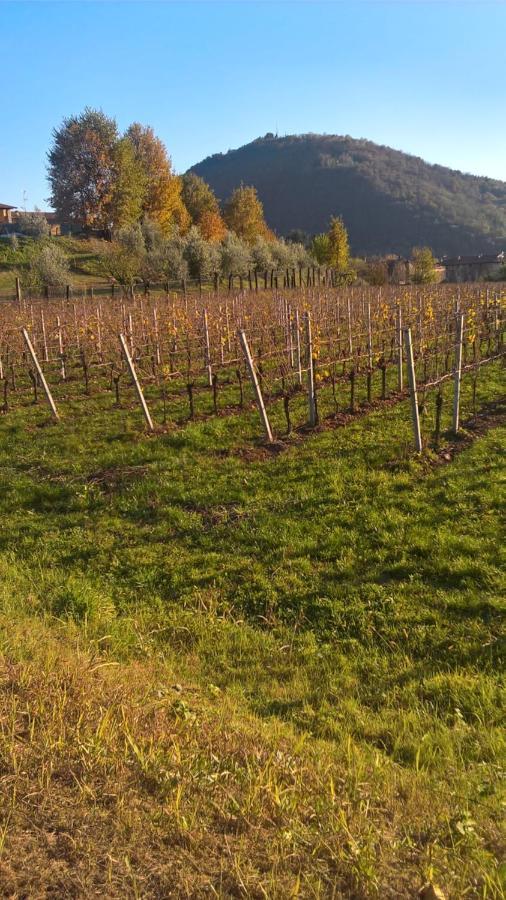 ארבוסקו Acero Rosso B&B In Franciacorta מראה חיצוני תמונה