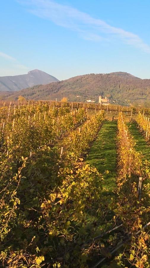 ארבוסקו Acero Rosso B&B In Franciacorta מראה חיצוני תמונה